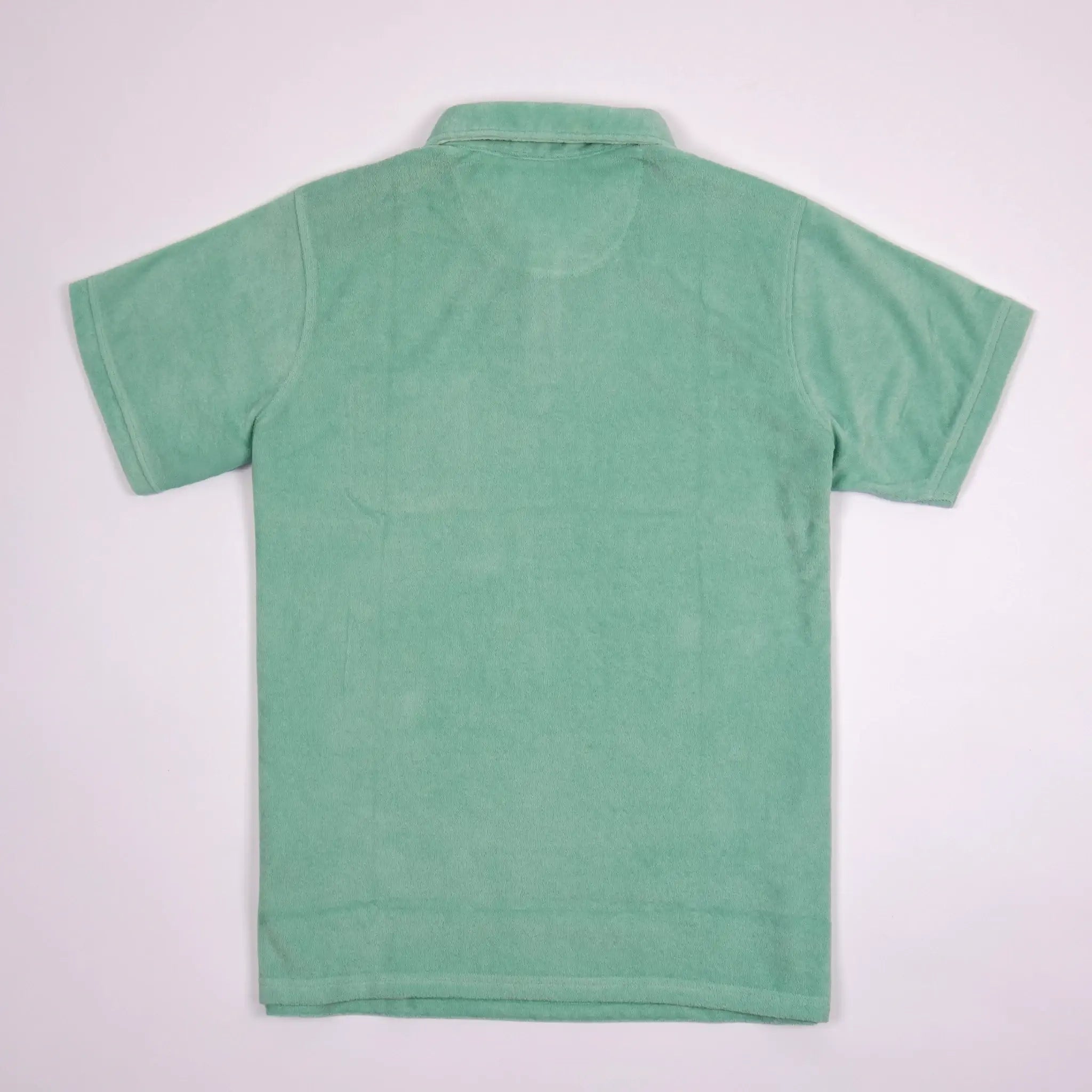 Polo vert cactus en tissu éponge pour homme BACK to LEGEND (vêtement à plat de dos)