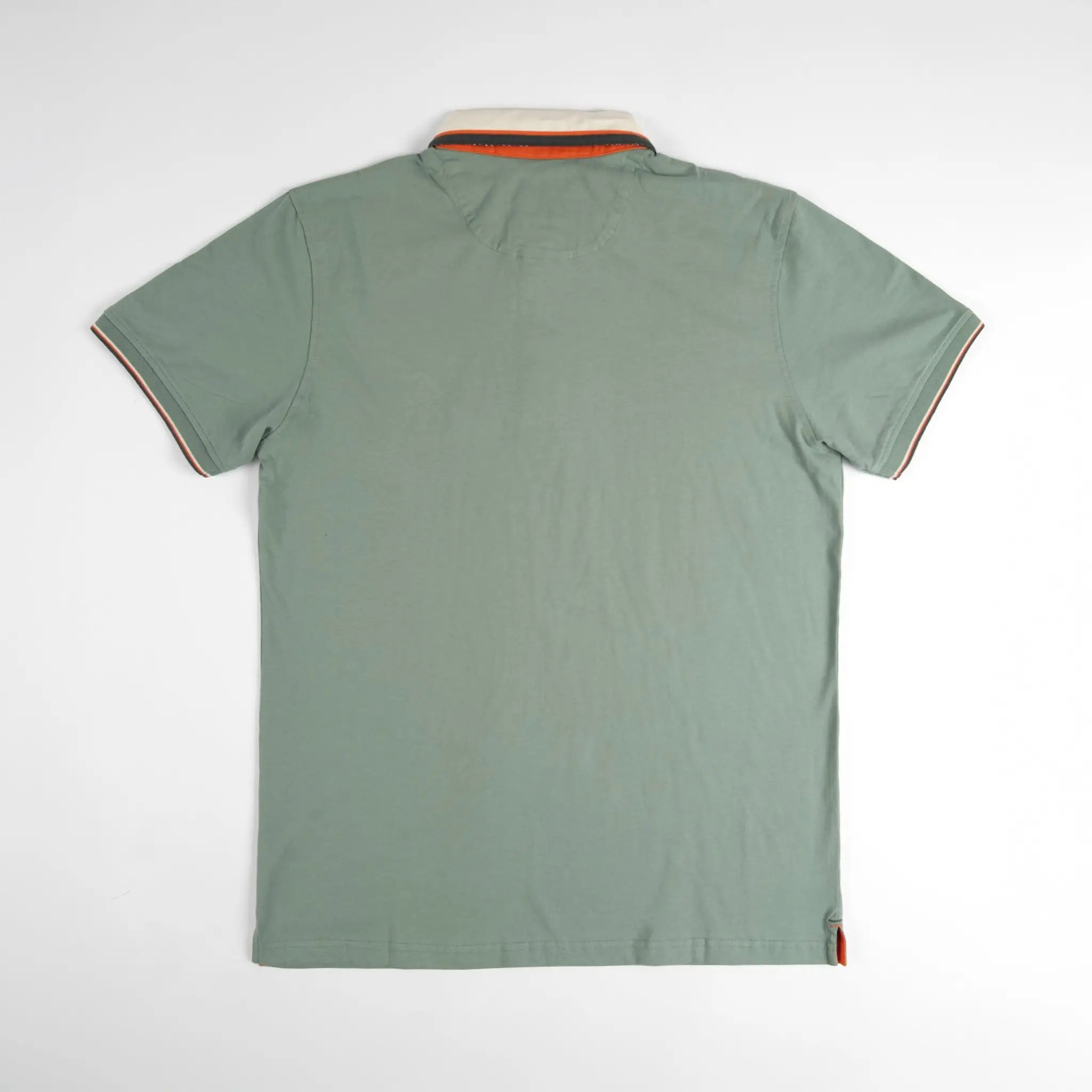 Polo homme BACK TO LEGEND vert écume toucher peau de pêche (polo manches courtes à plat de dos)