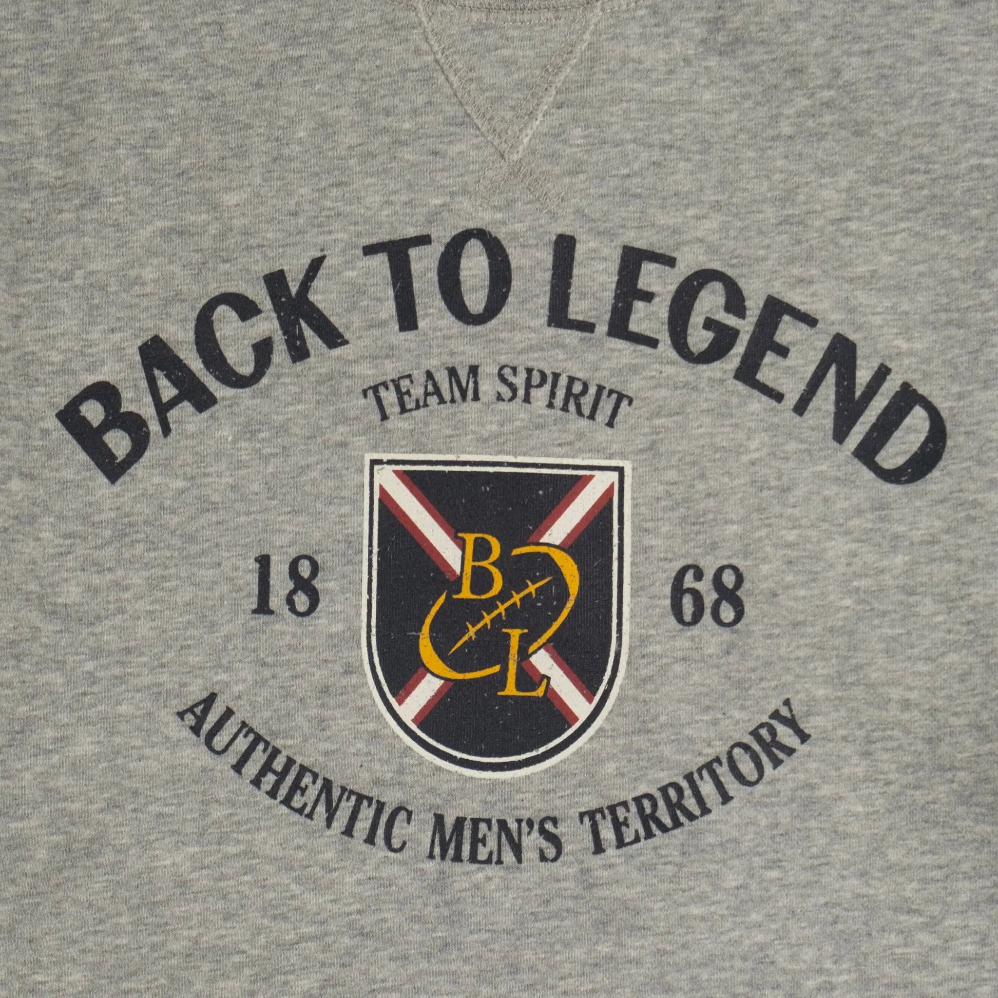 Sweat homme col rond gris chiné BACK TO LEGEND (zoom print ventral)