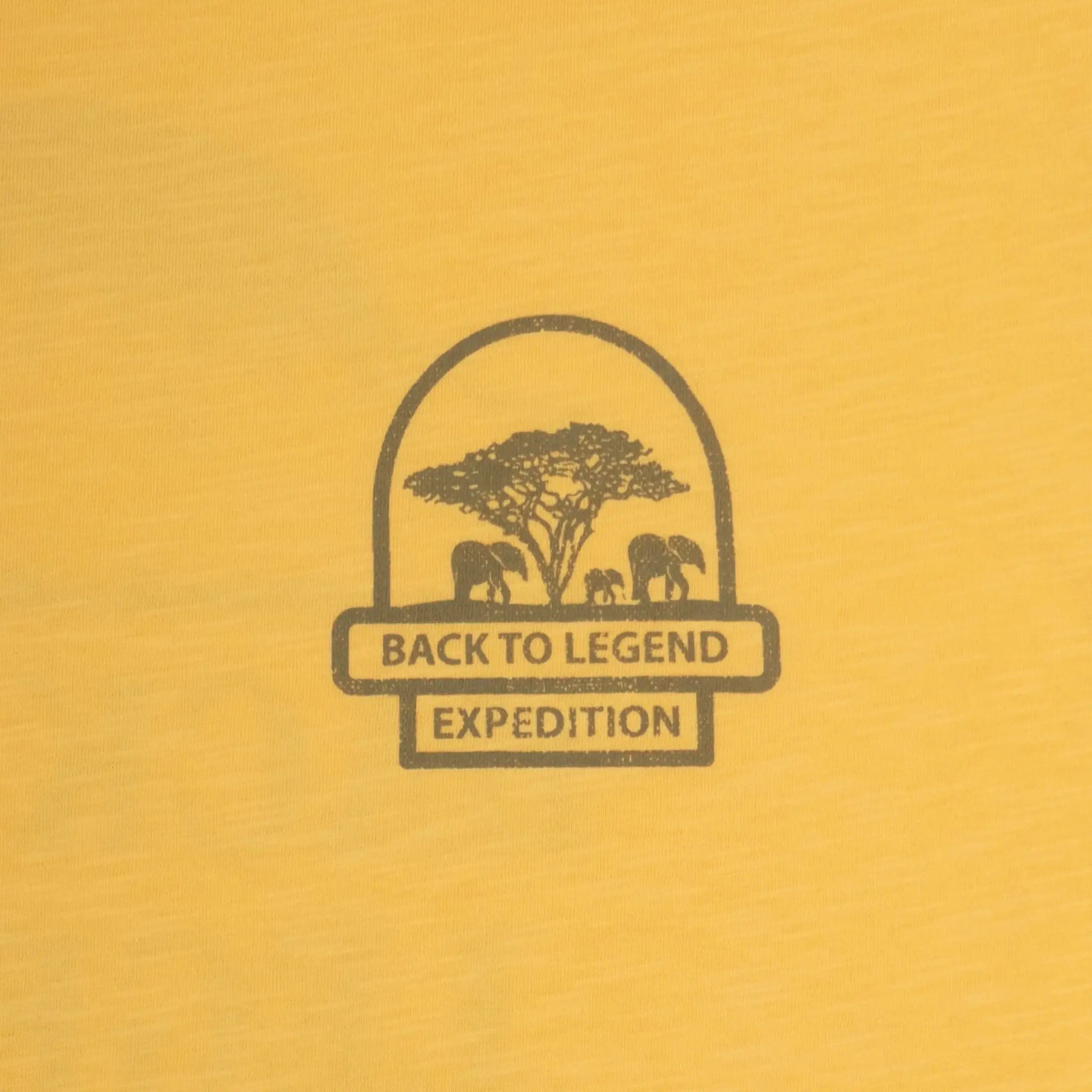 T-shirt expédition jaune ocre pour homme à col rond BACK to LEGEND (zoom print poitrine)
