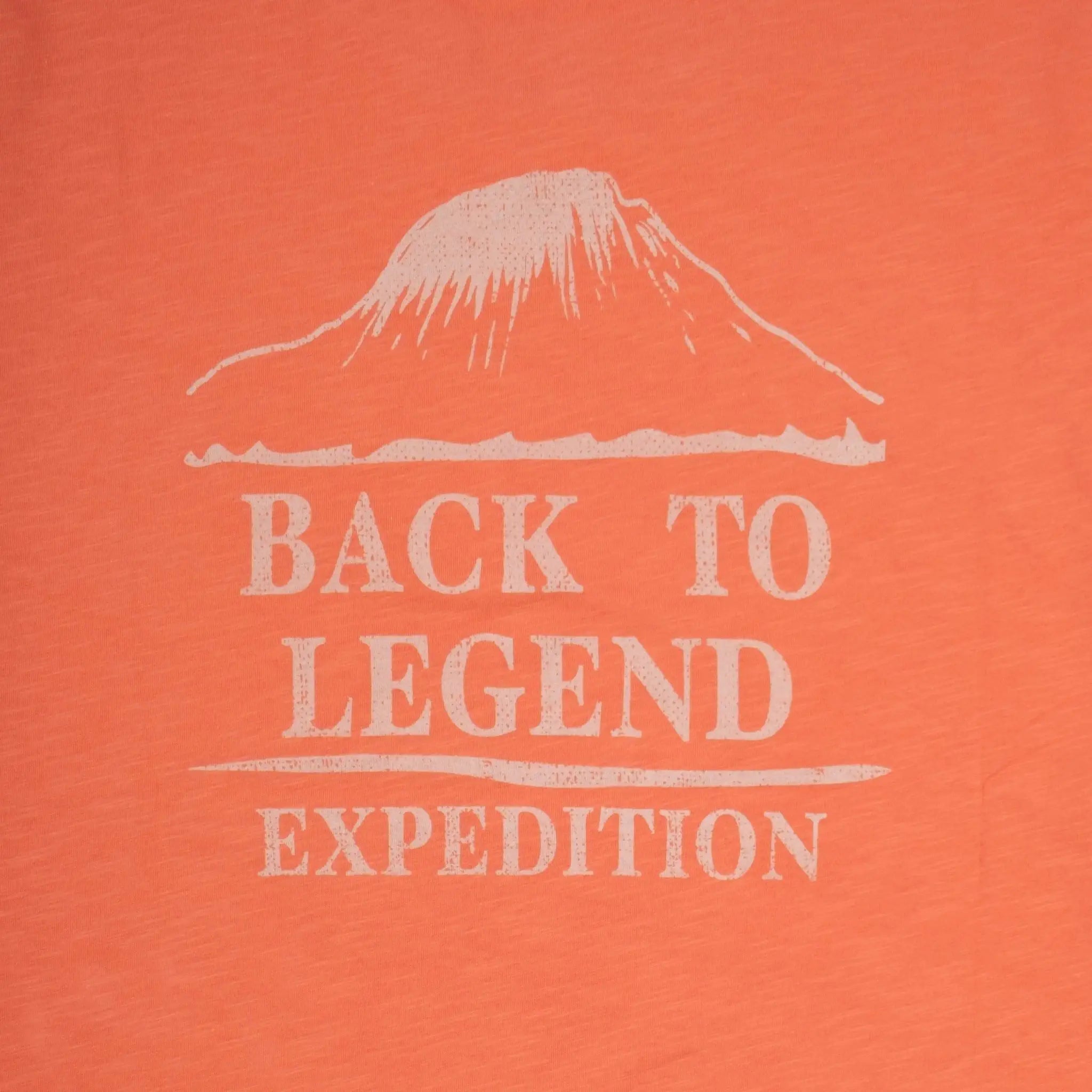T-shirt expédition rose corail pour homme à col rond BACK to LEGEND (zoom print dorsal)