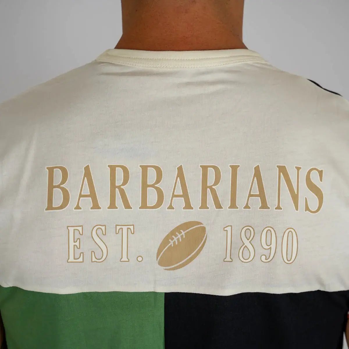 T-Shirt Barbarians multicolore (zoom impression dorsale)
