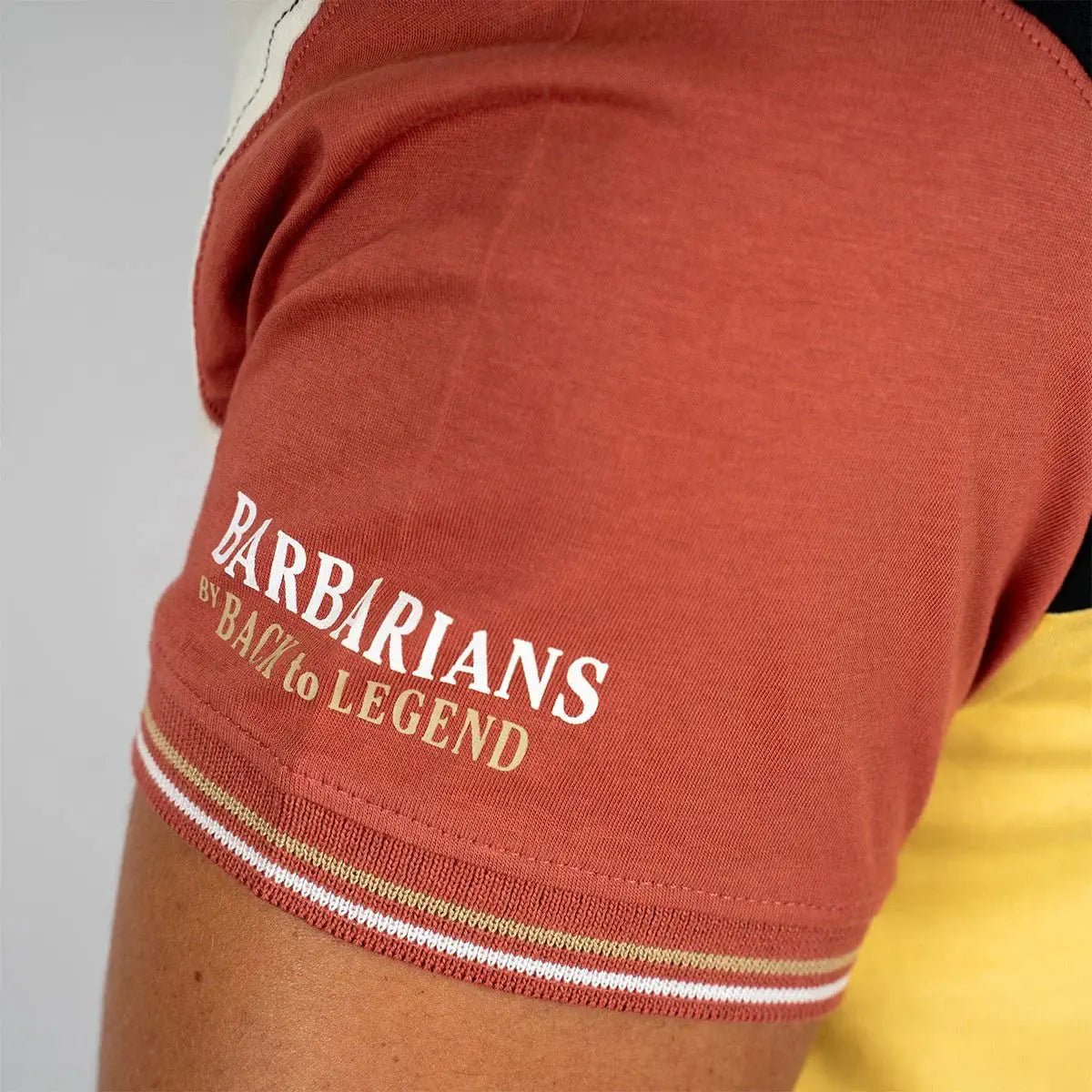 T-Shirt Barbarians multicolore (zoom manche)