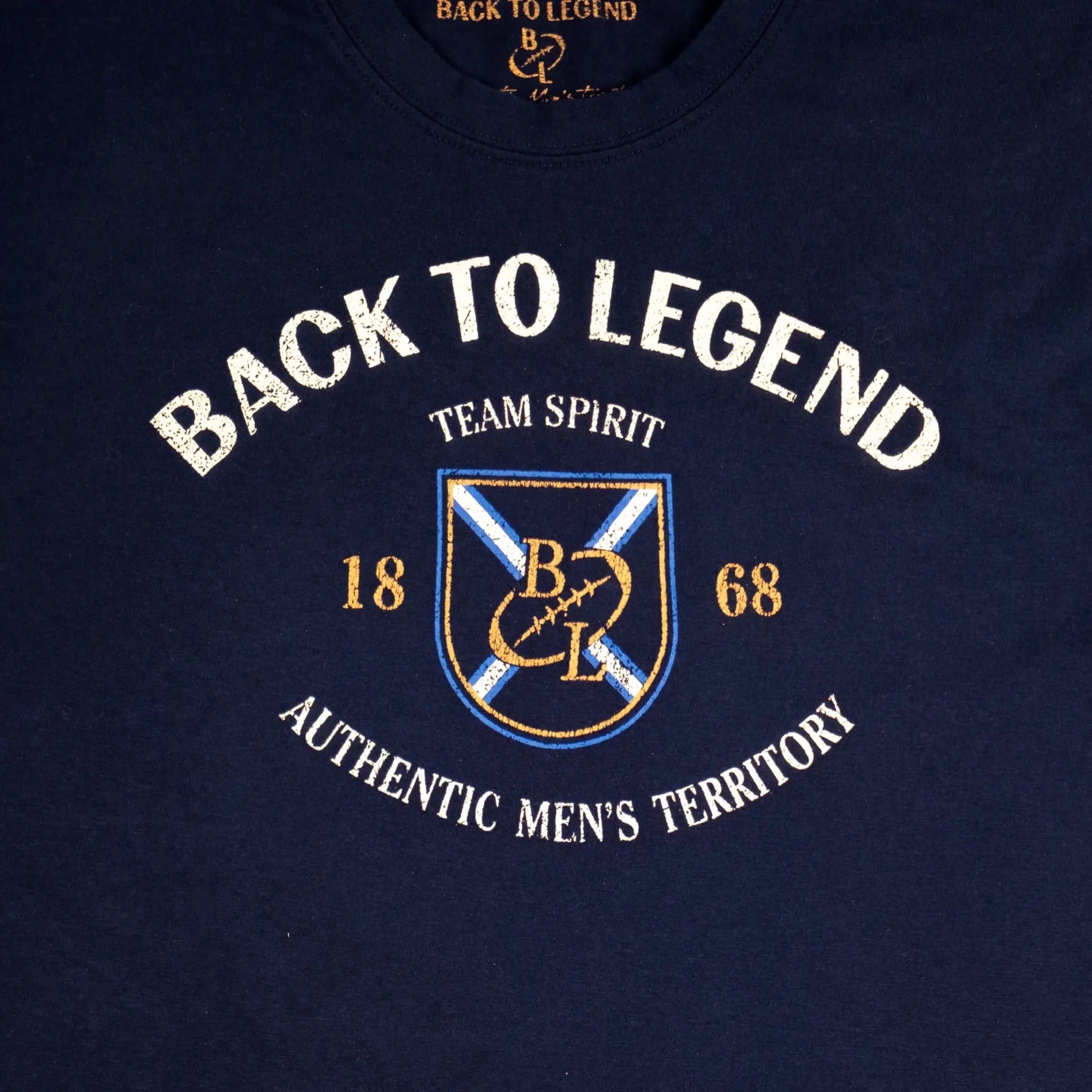 T-shirt bleu marine col V pour homme BACK TO LEGEND (zoom print poitrine)