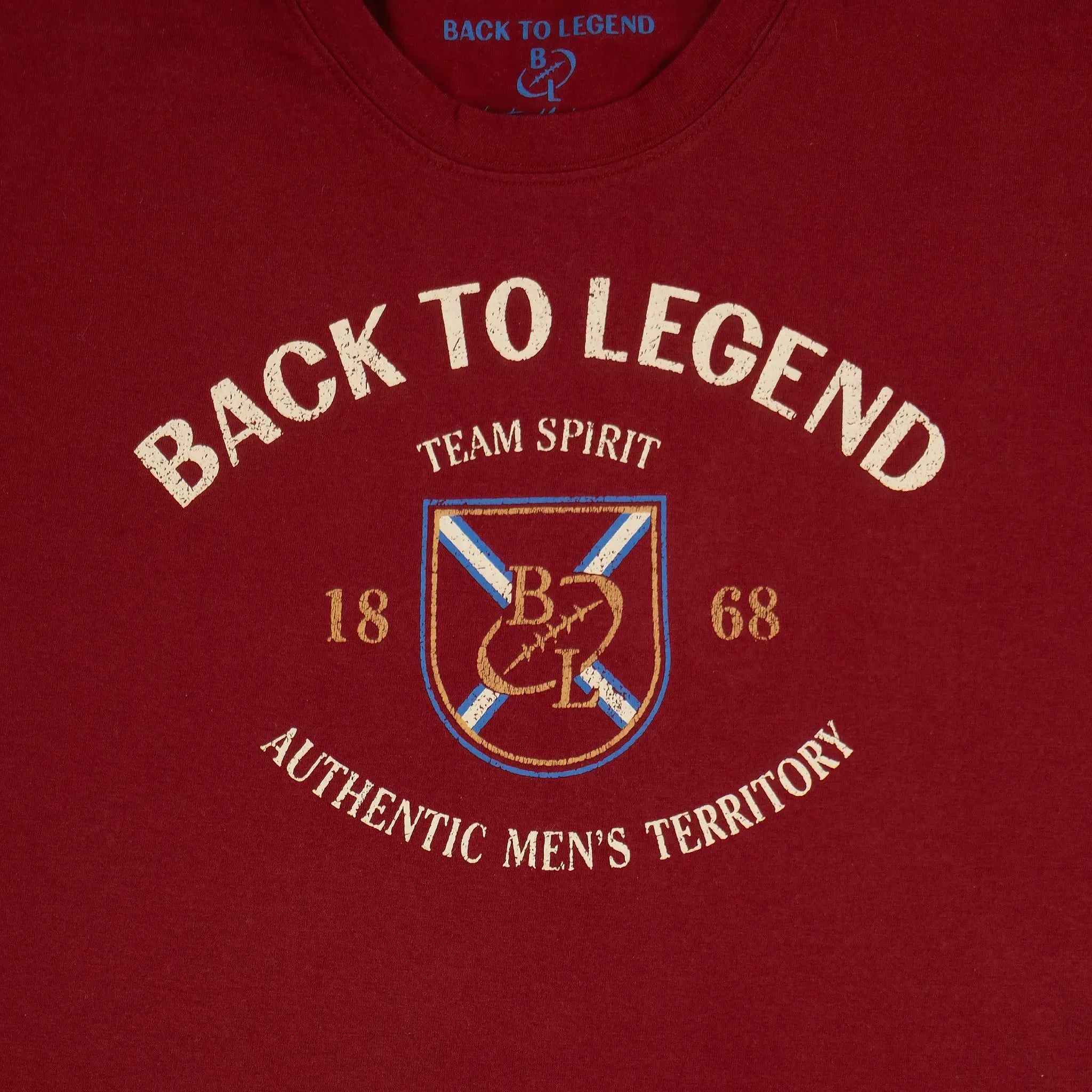 T-shirt rouge col V pour homme BACK TO LEGEND (zoom print poitrine)